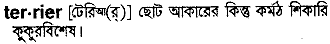 Terrier in Bangla Academy Dictionary