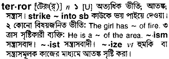 Terror in Bangla Academy Dictionary