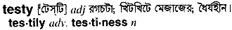 Testy in Bangla Academy Dictionary