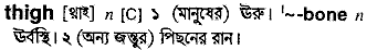 Thigh in Bangla Academy Dictionary