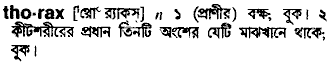Thorax in Bangla Academy Dictionary