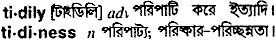 Tidily in Bangla Academy Dictionary
