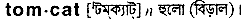 Tomcat in Bangla Academy Dictionary