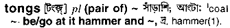Tongs in Bangla Academy Dictionary