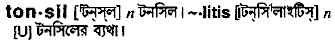 Tonsil in Bangla Academy Dictionary