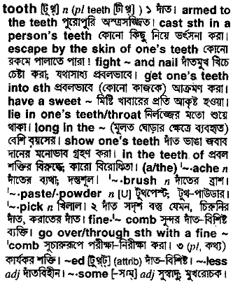 Tooth in Bangla Academy Dictionary