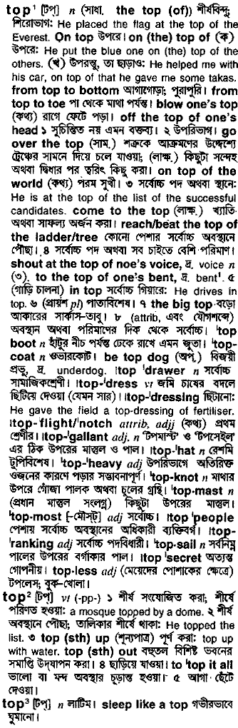 Top in Bangla Academy Dictionary