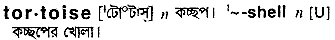 Tortoise in Bangla Academy Dictionary