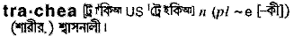 Trachea in Bangla Academy Dictionary