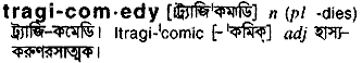 Tragicomedy in Bangla Academy Dictionary