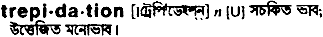 Trepidation in Bangla Academy Dictionary