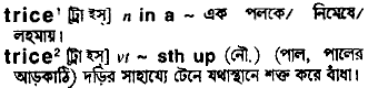 Trice in Bangla Academy Dictionary