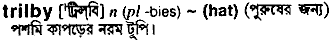 Trilby in Bangla Academy Dictionary