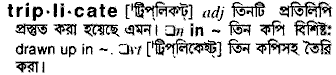 Triplicate in Bangla Academy Dictionary