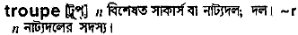 Troupe in Bangla Academy Dictionary