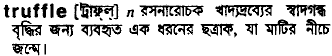 Truffle in Bangla Academy Dictionary