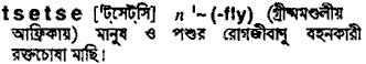 Tsetse in Bangla Academy Dictionary