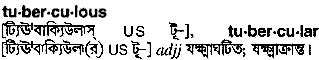 Tuberculous in Bangla Academy Dictionary