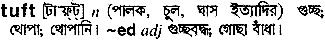 Tuft in Bangla Academy Dictionary
