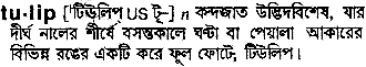 Tulip in Bangla Academy Dictionary