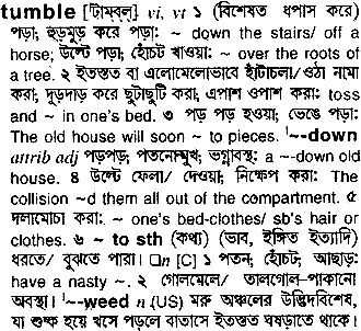 Tumble in Bangla Academy Dictionary
