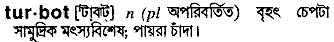 Turbot in Bangla Academy Dictionary