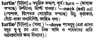 Turtle in Bangla Academy Dictionary