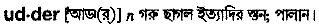 Udder in Bangla Academy Dictionary
