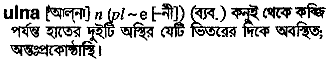 Ulna in Bangla Academy Dictionary