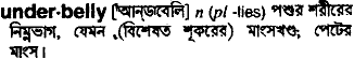 Underbelly in Bangla Academy Dictionary