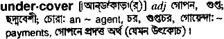 Undercover in Bangla Academy Dictionary