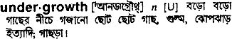 Undergrowth in Bangla Academy Dictionary