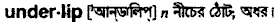 Underlip in Bangla Academy Dictionary