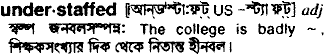 Understaffed in Bangla Academy Dictionary