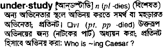 Understudy in Bangla Academy Dictionary