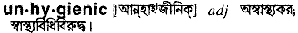 Unhygienic in Bangla Academy Dictionary