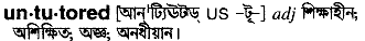 Untutored in Bangla Academy Dictionary