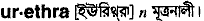 Urethra in Bangla Academy Dictionary