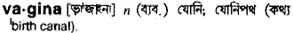 Vagina in Bangla Academy Dictionary