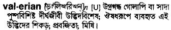 Valerian in Bangla Academy Dictionary