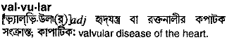 Valvular in Bangla Academy Dictionary