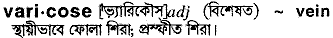 Varicose in Bangla Academy Dictionary