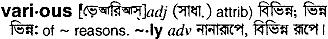 Various in Bangla Academy Dictionary