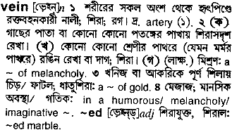 Vein in Bangla Academy Dictionary