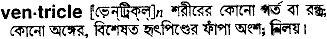 Ventricle in Bangla Academy Dictionary