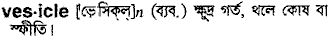 Vesicle in Bangla Academy Dictionary