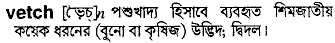 Vetch in Bangla Academy Dictionary