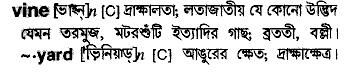 Vine in Bangla Academy Dictionary