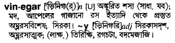 Vinegar in Bangla Academy Dictionary