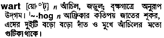 Wart in Bangla Academy Dictionary